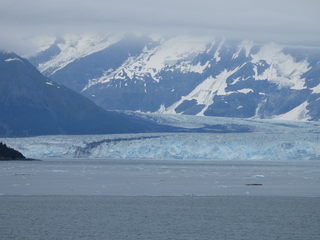 Filename=DSCN6518.JPG
Filesize=6987KiB
Dimensions=4608x3456
Date added=Aug 30, 2025 DSCN6518.JPG