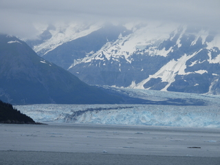 Filename=DSCN6521.JPG
Filesize=6516KiB
Dimensions=4608x3456
Date added=Aug 30, 2025 DSCN6521.JPG