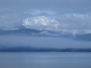 Filename=DSCN6544.JPG
Filesize=5487KiB
Dimensions=4608x3456
Date added=Aug 30, 2025 DSCN6544.JPG