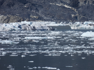 Filename=DSCN6583.JPG
Filesize=6385KiB
Dimensions=4608x3456
Date added=Aug 30, 2025 DSCN6583.JPG