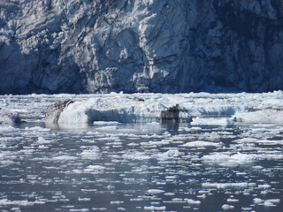 Filename=DSCN6586.JPG
Filesize=6386KiB
Dimensions=4608x3456
Date added=Aug 30, 2025 DSCN6586.JPG