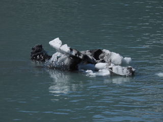 Filename=DSCN6603.JPG
Filesize=6998KiB
Dimensions=4608x3456
Date added=Aug 30, 2025 DSCN6603.JPG