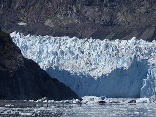 Filename=DSCN6604.JPG
Filesize=7078KiB
Dimensions=4608x3456
Date added=Aug 30, 2025 DSCN6604.JPG