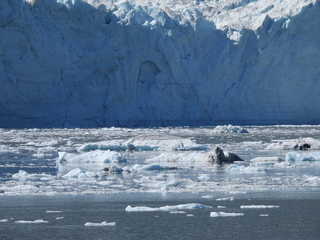 Filename=DSCN6631.JPG
Filesize=6572KiB
Dimensions=4608x3456
Date added=Aug 30, 2025 DSCN6631.JPG