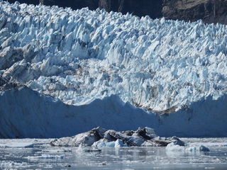 Filename=DSCN6633.JPG
Filesize=6643KiB
Dimensions=4608x3456
Date added=Aug 30, 2025 DSCN6633.JPG