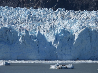 Filename=DSCN6663.JPG
Filesize=6800KiB
Dimensions=4608x3456
Date added=Aug 30, 2025 DSCN6663.JPG