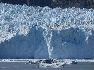 Filename=DSCN6664.JPG
Filesize=6994KiB
Dimensions=4608x3456
Date added=Aug 30, 2025 DSCN6664.JPG