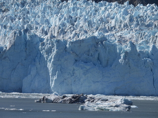 Filename=DSCN6687.JPG
Filesize=6969KiB
Dimensions=4608x3456
Date added=Aug 30, 2025 DSCN6687.JPG