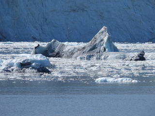 Filename=DSCN6693.JPG
Filesize=6945KiB
Dimensions=4608x3456
Date added=Aug 30, 2025 DSCN6693.JPG