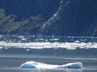 Filename=DSCN6694.JPG
Filesize=6121KiB
Dimensions=4608x3456
Date added=Aug 30, 2025 DSCN6694.JPG