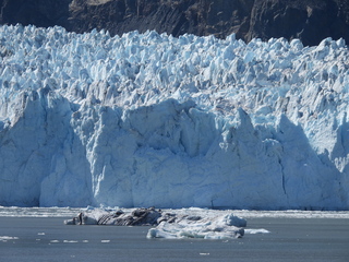 Filename=DSCN6698.JPG
Filesize=6502KiB
Dimensions=4608x3456
Date added=Aug 30, 2025 DSCN6698.JPG