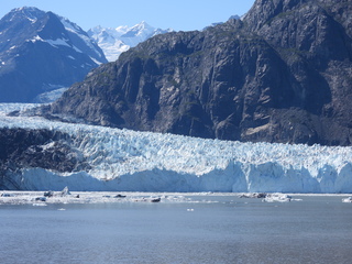 Filename=DSCN6717.JPG
Filesize=6380KiB
Dimensions=4608x3456
Date added=Aug 30, 2025 DSCN6717.JPG