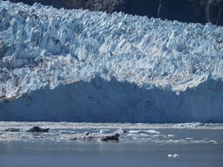 Filename=DSCN6726.JPG
Filesize=7098KiB
Dimensions=4608x3456
Date added=Aug 30, 2025 DSCN6726.JPG