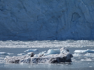 Filename=DSCN6751.JPG
Filesize=6049KiB
Dimensions=4608x3456
Date added=Aug 30, 2025 DSCN6751.JPG