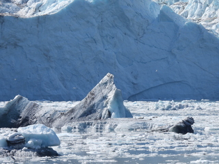 Filename=DSCN6757.JPG
Filesize=6592KiB
Dimensions=4608x3456
Date added=Aug 30, 2025 DSCN6757.JPG