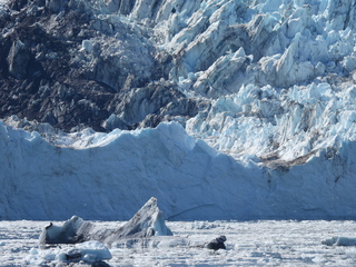 Filename=DSCN6758.JPG
Filesize=6773KiB
Dimensions=4608x3456
Date added=Aug 30, 2025 DSCN6758.JPG