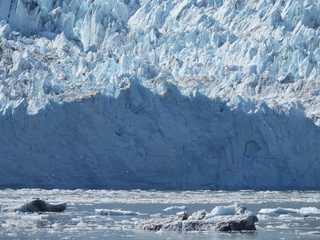 Filename=DSCN6759.JPG
Filesize=6719KiB
Dimensions=4608x3456
Date added=Aug 30, 2025 DSCN6759.JPG