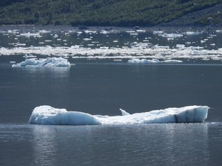 Filename=DSCN6771.JPG
Filesize=6918KiB
Dimensions=4608x3456
Date added=Aug 30, 2025 DSCN6771.JPG