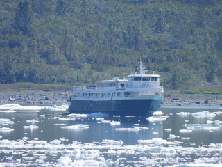 Filename=DSCN6772.JPG
Filesize=7132KiB
Dimensions=4608x3456
Date added=Aug 30, 2025 DSCN6772.JPG