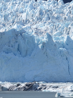 Filename=DSCN6781.JPG
Filesize=6250KiB
Dimensions=3456x4608
Date added=Aug 30, 2025 DSCN6781.JPG