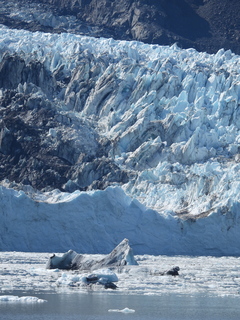 Filename=DSCN6788.JPG
Filesize=6823KiB
Dimensions=3456x4608
Date added=Aug 30, 2025 DSCN6788.JPG