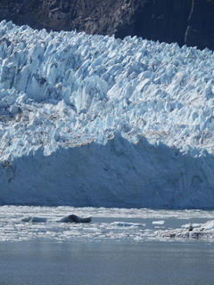 Filename=DSCN6790.JPG
Filesize=6614KiB
Dimensions=3456x4608
Date added=Aug 30, 2025 DSCN6790.JPG