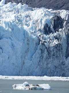 Filename=DSCN6795.JPG
Filesize=6360KiB
Dimensions=3456x4608
Date added=Aug 30, 2025 DSCN6795.JPG