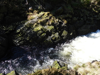 Filename=DSCN6852.JPG
Filesize=6886KiB
Dimensions=4608x3456
Date added=Aug 30, 2025 DSCN6852.JPG