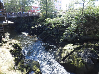 Filename=DSCN6853.JPG
Filesize=7464KiB
Dimensions=4608x3456
Date added=Aug 30, 2025 DSCN6853.JPG