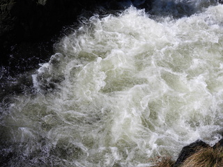 Filename=DSCN6854.JPG
Filesize=7047KiB
Dimensions=4608x3456
Date added=Aug 30, 2025 DSCN6854.JPG