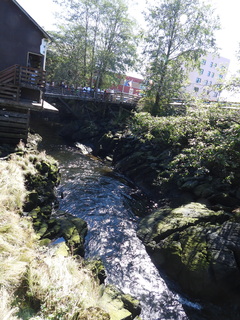 Filename=DSCN6855.JPG
Filesize=6785KiB
Dimensions=3456x4608
Date added=Aug 30, 2025 DSCN6855.JPG