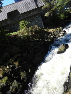 Filename=DSCN6856.JPG
Filesize=6202KiB
Dimensions=3456x4608
Date added=Aug 30, 2025 DSCN6856.JPG