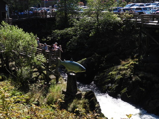 Filename=DSCN6859.JPG
Filesize=6884KiB
Dimensions=4608x3456
Date added=Aug 30, 2025 DSCN6859.JPG