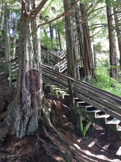 Filename=DSCN6860.JPG
Filesize=6206KiB
Dimensions=3456x4608
Date added=Aug 30, 2025 DSCN6860.JPG