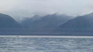 Filename=PXL_20250824_232907450.jpg
Filesize=6702KiB
Dimensions=8160x4590
Date added=Aug 30, 2025 PXL_20250824_232907450.jpg