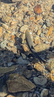 Filename=PXL_20250826_203941001.jpg
Filesize=9324KiB
Dimensions=4590x8160
Date added=Aug 30, 2025 PXL_20250826_203941001.jpg