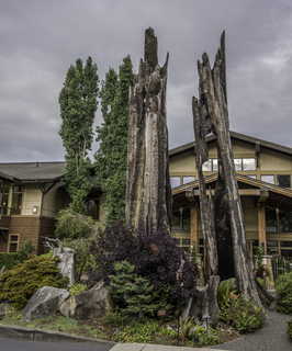 Filename=DSC_3295.jpg
Filesize=20603KiB
Dimensions=4912x5890
Date added=Sep 15, 2019 DSC_3295.jpg