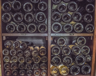 Filename=DSC_3309.jpg
Filesize=44031KiB
Dimensions=6026x4831
Date added=Sep 15, 2019 DSC_3309.jpg