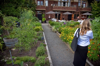 Filename=DSC_3312.jpg
Filesize=17542KiB
Dimensions=7360x4912
Date added=Sep 15, 2019 DSC_3312.jpg