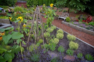 Filename=DSC_3317.jpg
Filesize=17102KiB
Dimensions=7360x4912
Date added=Sep 15, 2019 DSC_3317.jpg