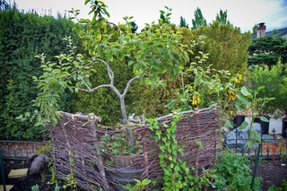 Filename=DSC_3320.jpg
Filesize=19519KiB
Dimensions=7360x4912
Date added=Sep 15, 2019 DSC_3320.jpg