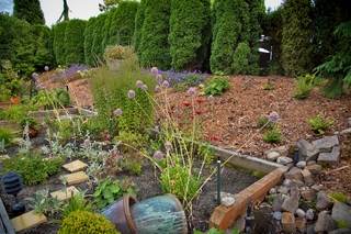 Filename=DSC_3329.jpg
Filesize=20179KiB
Dimensions=7360x4912
Date added=Sep 15, 2019 DSC_3329.jpg