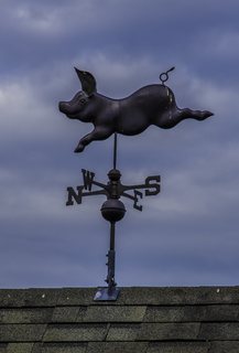 Filename=DSC_3338.jpg
Filesize=4702KiB
Dimensions=2405x3535
Date added=Sep 15, 2019 DSC_3338.jpg