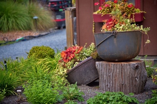 Filename=DSC_3339~0.jpg
Filesize=13759KiB
Dimensions=7360x4912
Date added=Sep 15, 2019 DSC_3339~0.jpg