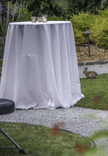 Filename=DSC_3341.jpg
Filesize=4860KiB
Dimensions=2301x3303
Date added=Sep 15, 2019 DSC_3341.jpg