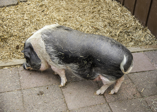 Filename=DSC_3346.jpg
Filesize=23510KiB
Dimensions=6348x4546
Date added=Sep 15, 2019 DSC_3346.jpg