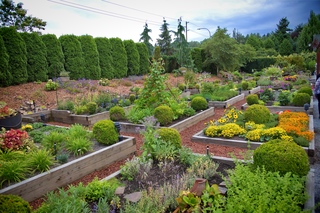 Filename=DSC_3359.jpg
Filesize=18278KiB
Dimensions=7360x4912
Date added=Sep 15, 2019 DSC_3359.jpg