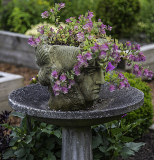 Filename=DSC_3360.jpg
Filesize=11523KiB
Dimensions=4355x4522
Date added=Sep 15, 2019 DSC_3360.jpg