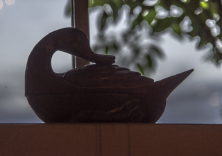 Filename=DSC_3382.jpg
Filesize=7771KiB
Dimensions=4050x2852
Date added=Sep 15, 2019 DSC_3382.jpg