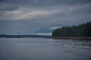 Filename=DSC_3692.jpg
Filesize=7565KiB
Dimensions=7360x4912
Date added=Sep 16, 2019 DSC_3692.jpg